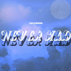 NEVER HAD