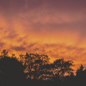 Le béguin pour XTF Collective. XANART invites Whoopdat (24.10.24)