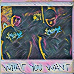 What You Want (Foreign Hype)