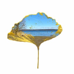 TOBY GINKGO | MAY 2021 | Beyond the door