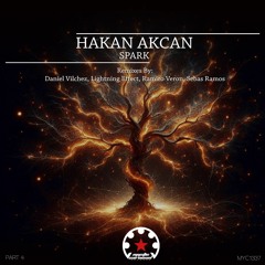 Hakan AKCAN - Spark (Lightning Effect Remix)