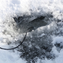 Ice Sounds for Ice Follies 2025