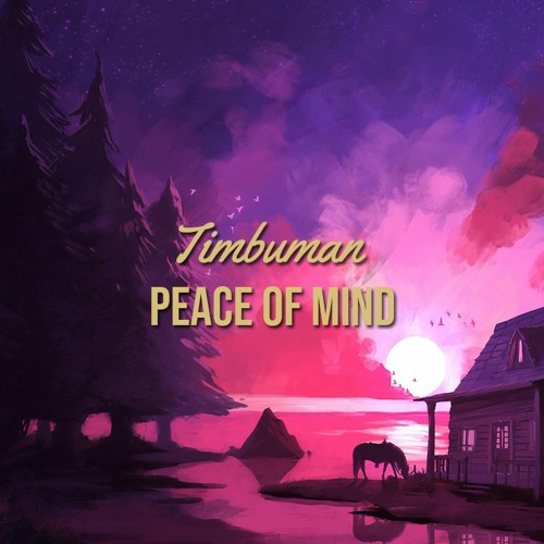DJ Timbuman - Peace Of Mind