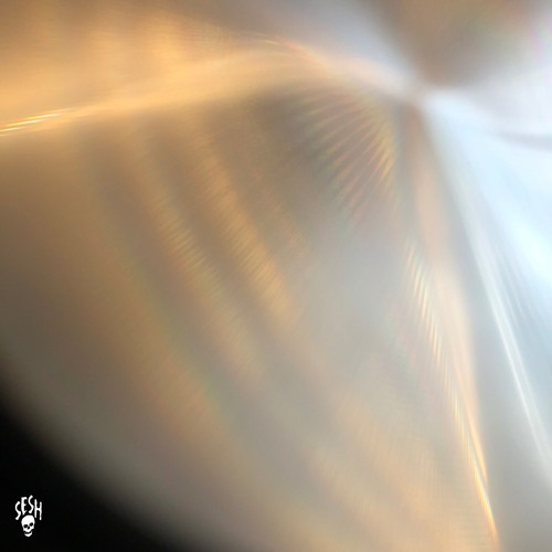 out of sight, out of mind w/ grayera