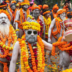 Kumbh Yatra 25