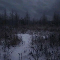 пойдем гулять