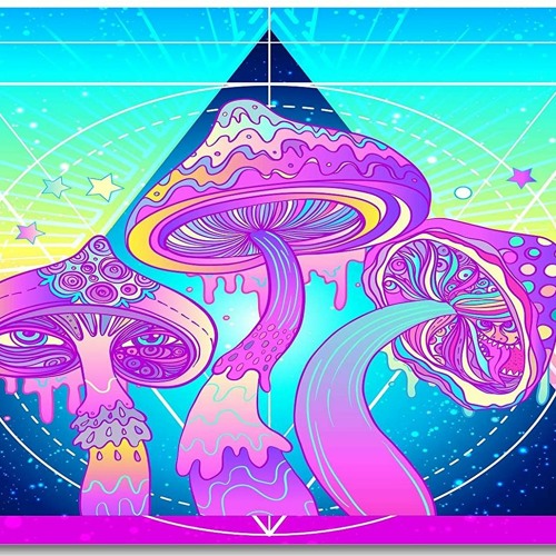 Relics Of PsyReliX (Live Set)