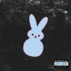 17RARE - Forevers End (interlude)