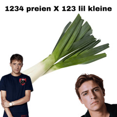 1234 preien X 123 lil kleine (damian0165 mix)