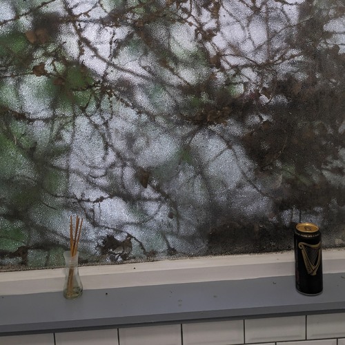 For The Win (mirror violet)