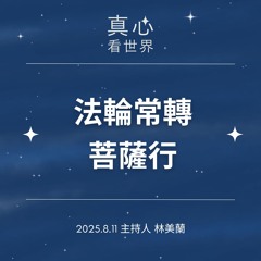 【真心看世界】法輪常轉菩薩行0811