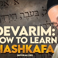 DEVARIM: How To Learn Hashkafa - STUMP THE RABBI (212)