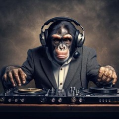 Disco Super Noodles- Funky Munky!
