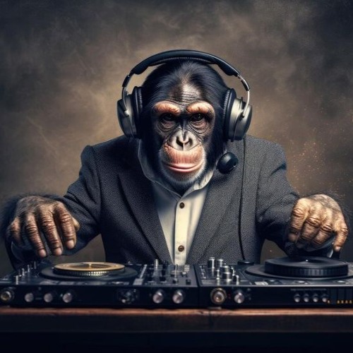 Disco Super Noodles- Funky Munky!