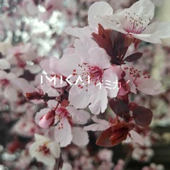 Beginning - Imikai Remix