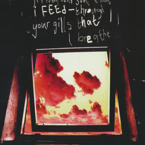 FSoL - More Noise Please