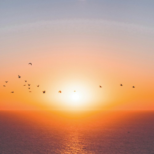 Calm Music 🎵 Relaxing Music 🎵 Peaceful Music 🎵 A New Beginning