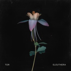 Eleuthera