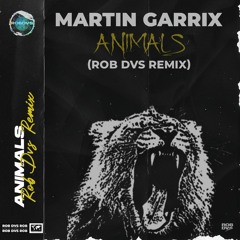 Martin Garrix - Animals (Rob DVS Remix)