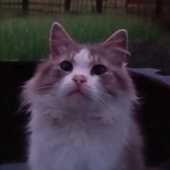 dvrst - Falling Stars (ultra slowed/reverb)