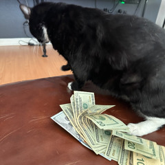 baggin ts (feat. MasterFade)