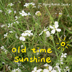 Old Time Sunshine (Instrumental)