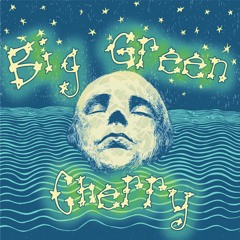 This is a demo version of a song that can, in fact, be found on our vinyl release, No One Cares!