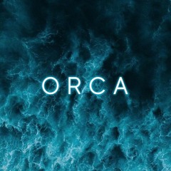 New Sky (ORCA remix)