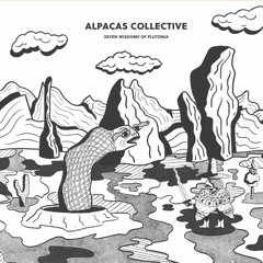 Alpacas Collective - Flugzeug String Machine