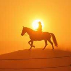 Ain’t My First Rodeo