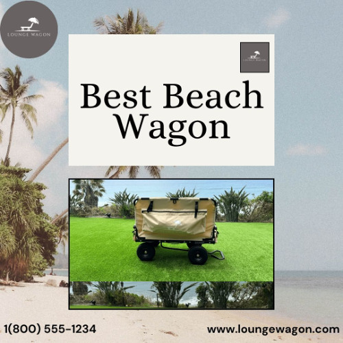 Stay Organized and Stress-Free with the Best Beach Wagon for Travel