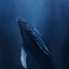 Deep Ocean Ambience