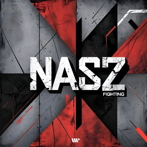 DIGITAL608: Nasz - Fighting