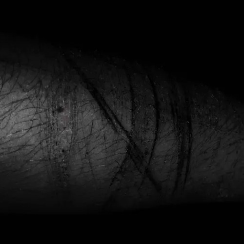 An Excuse To Kill Myself