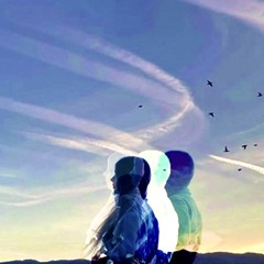 1ThisSky