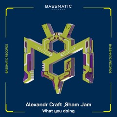 Alexandr Craft, Sham Jam - What You Doing | Bassmatic Records