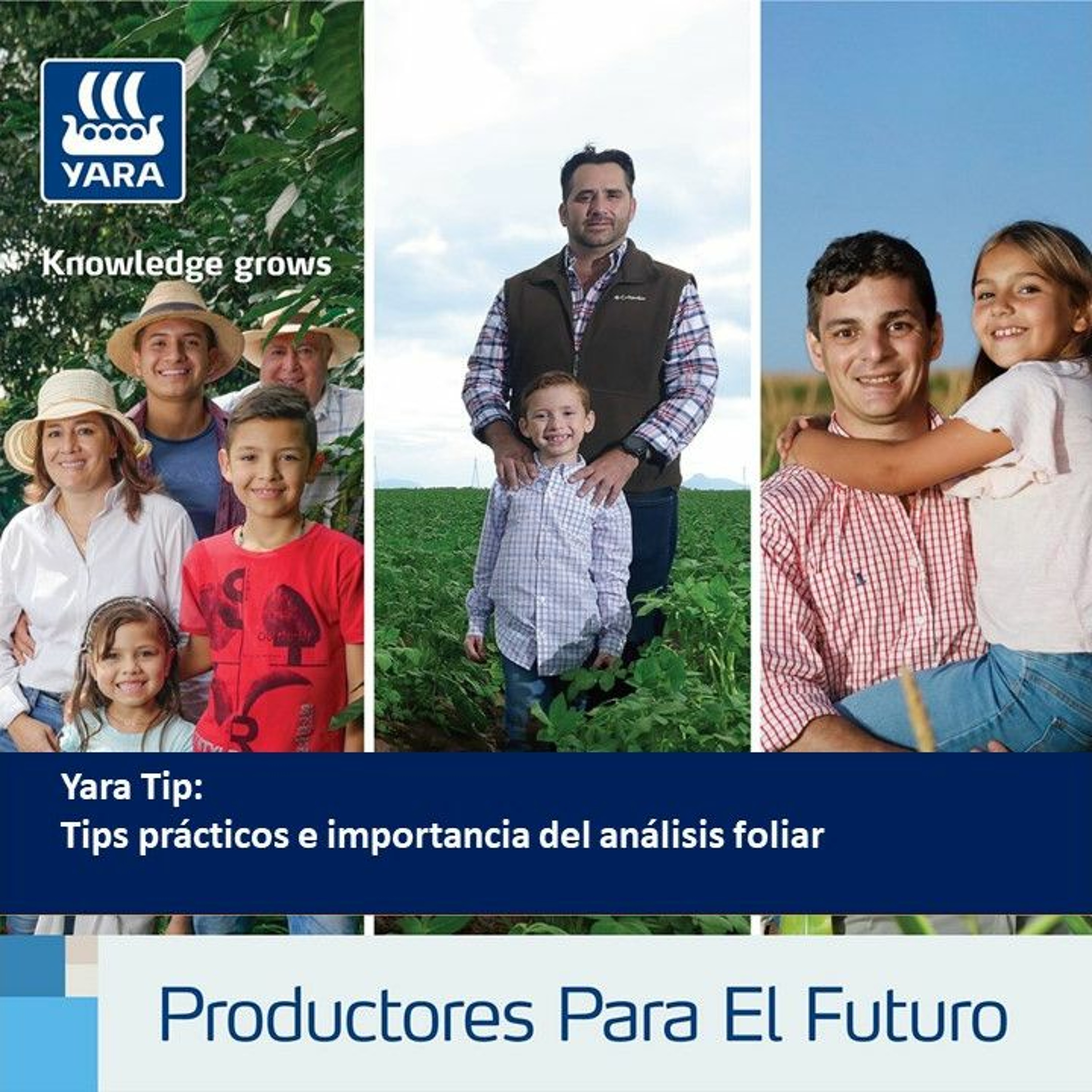 Productores Para El Futuro