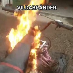 PojmisRAVE #VILDABRÄNDER