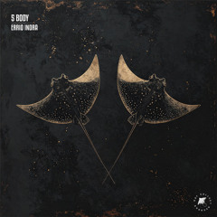 5 Body