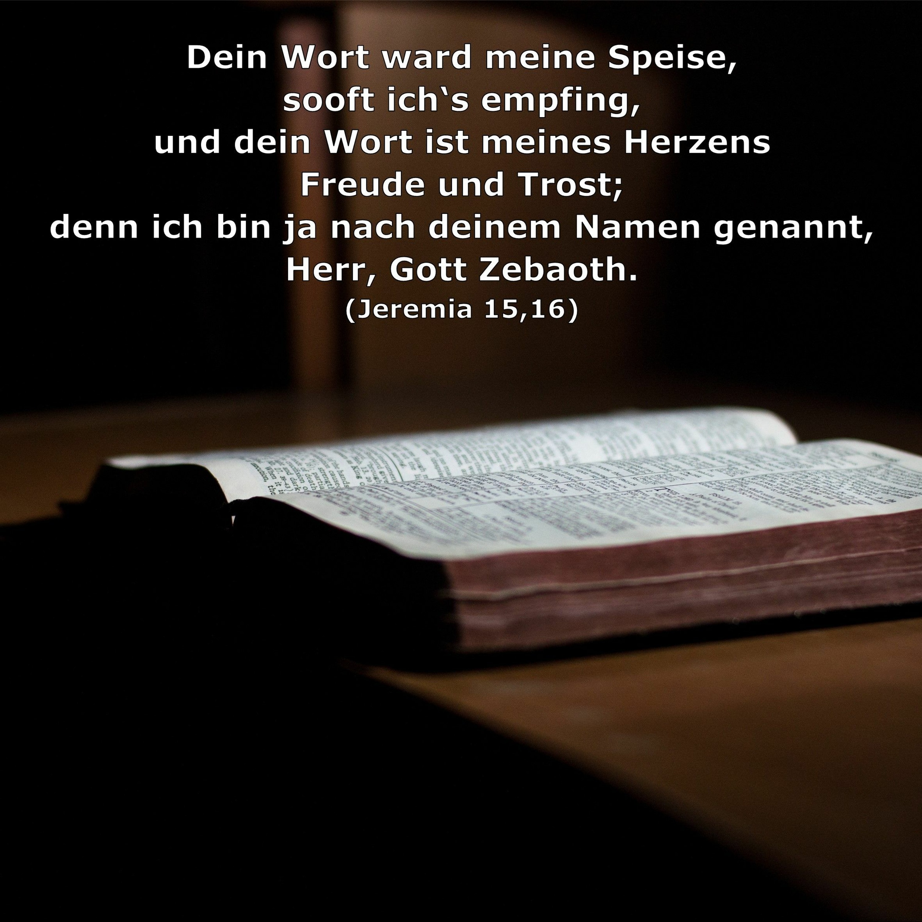 In einem Jahr durch die Bibel