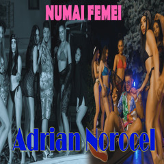 Adrian Norocel- Numai femei