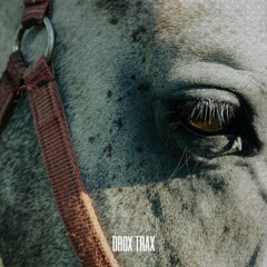 War DEN - Sudaka (ALDES Remix) [DRX040] Free Download