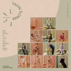 Fallin’ Flower (instrumental)