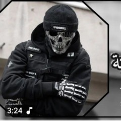 شاعرالعباس من صولاته مهدي العبود