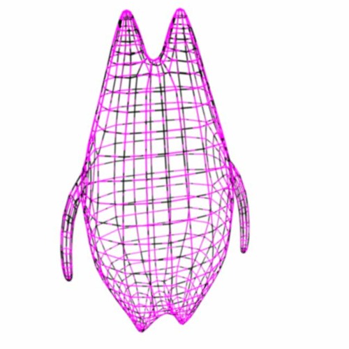 penguin waddle aamzing wowza