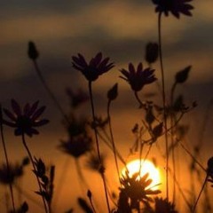 Fake Plastic Trees (cover)