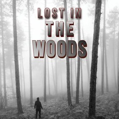 Lost In The Woods