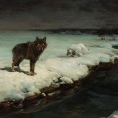 a wolf in sheep's skin (check my other songs too)