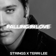 Fallen In Love-STRINGS Ft TerriLee