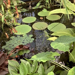 Minimal / Deep House Mixes